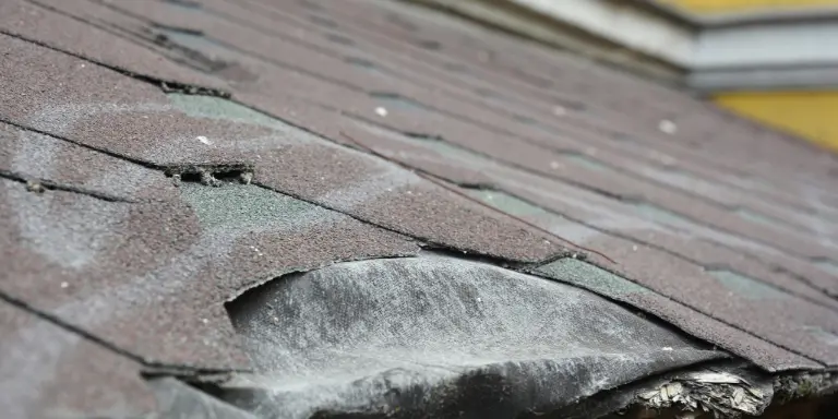 Roof Warning Signs to Address Before They Escalate