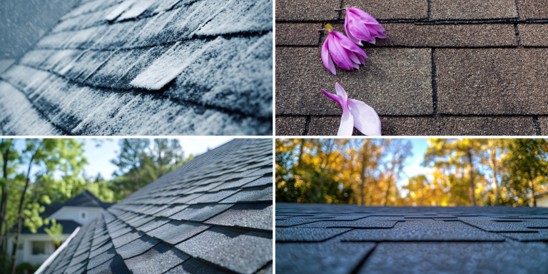 Year-Round Tips for a Durable, Weatherproof Roof